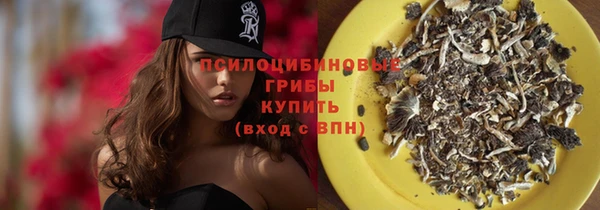 молекула духа Баксан