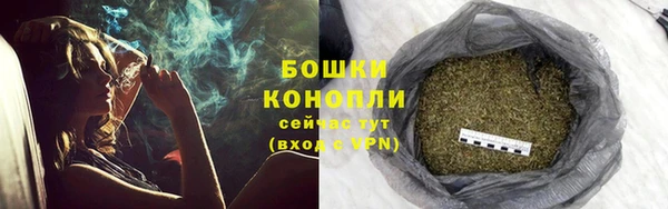 молекула духа Баксан