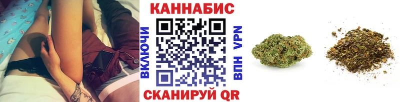 Канабис OG Kush  Кущёвская 